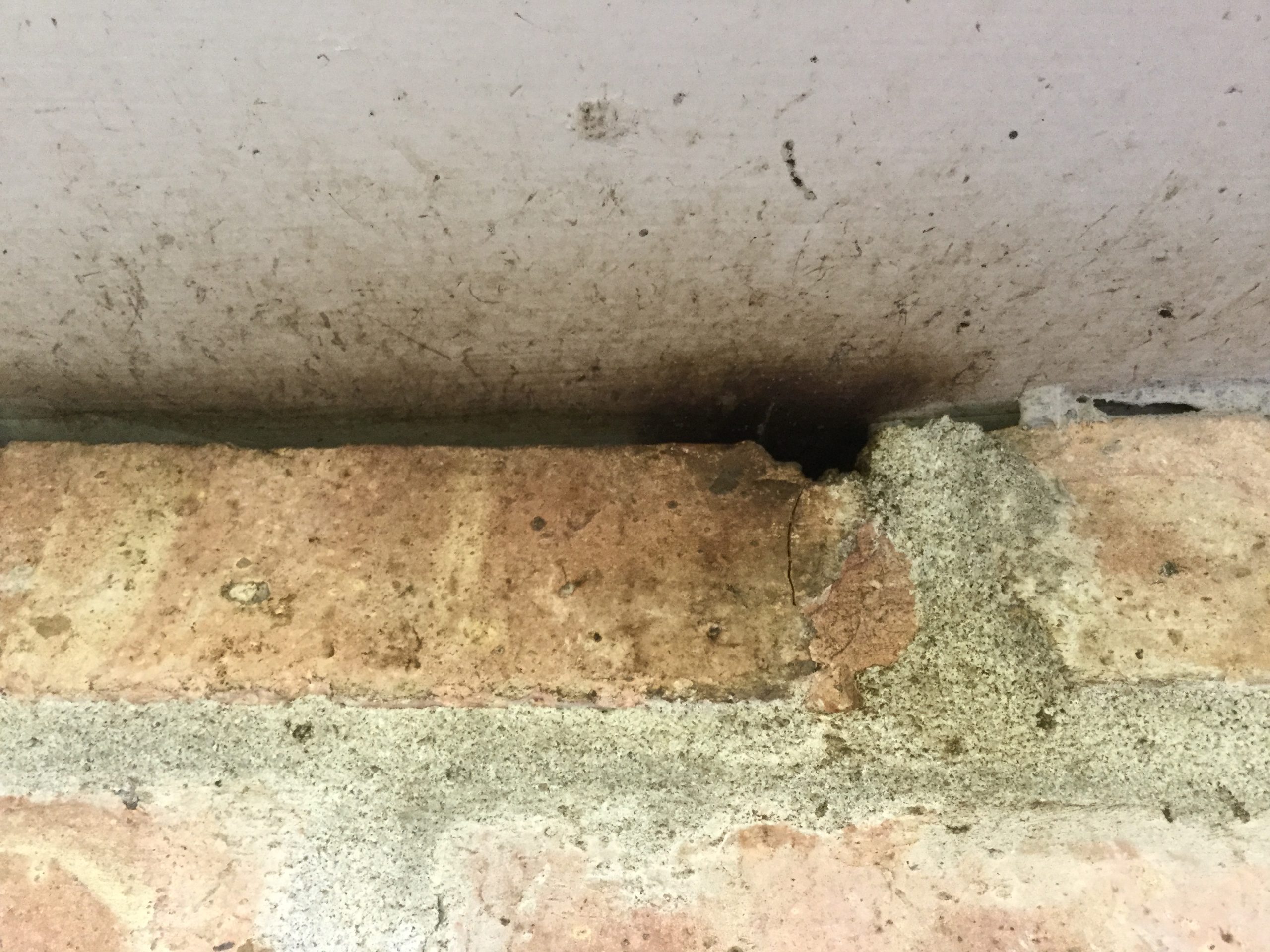 brown dirty spot made by bats at brick line to soffet